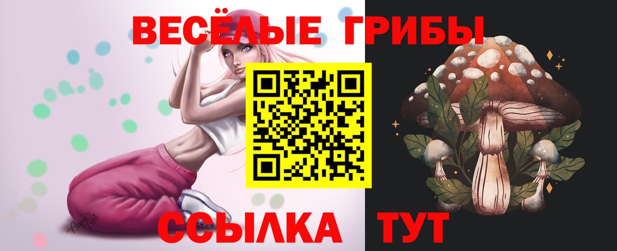 Псилоцибиновые грибы ЛСД  Вход с VPN  Чайковский 